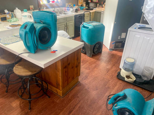 Best Water damage contractors near me  in Troutman, NC
